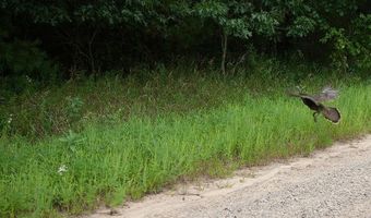 Lot 27 10th Avenue, Adams, WI 53910