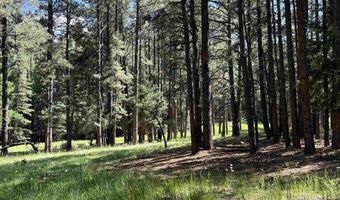 Lot 940 White Sands Circle, Angel Fire, NM 87710