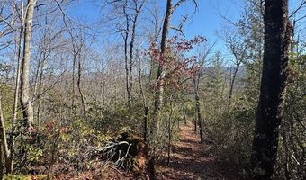 1834 Bristol Ave, Andrews, NC 28901