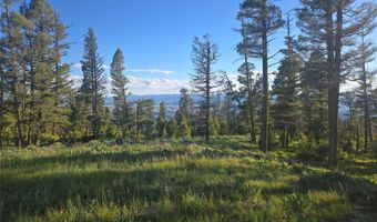 1 Big Sky Ridge Rd, Drummond, MT 59832