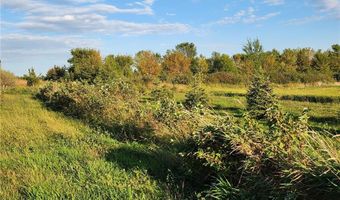 2051 120th St, Balaton, MN 56115