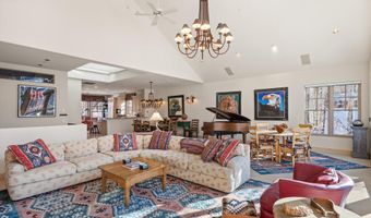 990 E Hopkins Ave, Aspen, CO 81611