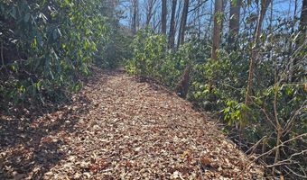 Warrior Way lot 16, Andrews, NC 28901