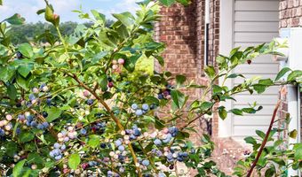 38 Daniel's Rd, Adel, GA 31620