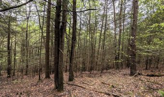 Stewart Road, Addison, NY 14801