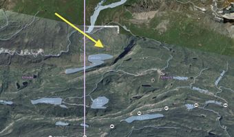 L2 Purinton Creek Trail, Chickaloon, AK 99674