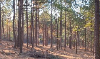 447 County Road 215, Abbeville, MS 38601