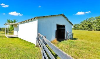 530 MS-15, Blue Mountain, MS 38610