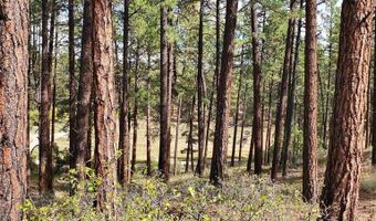 282 Pine Ln, Bayfield, CO 81122