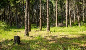 14690 Shore Acres Dr, Bigfork, MT 59911