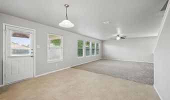 2045 Hanakoa Falls Dr, Anna, TX 75409