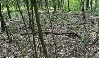 V/L 108th Avenue, Allegan, MI 49010