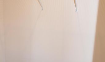 1126 Finch Ct, Apex, NC 27502