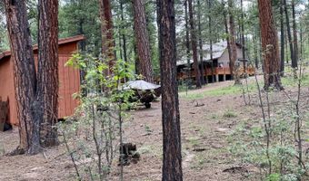 8 County Road 2083, Alpine, AZ 85920
