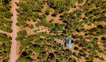 70 County Road 2266, Alpine, AZ 85920