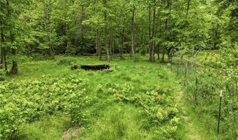 1801 Soap Creek Rd, Ball Ground, GA 30107