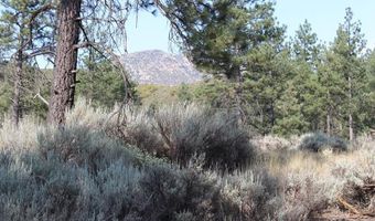 030 Butterfly Peak Rd, Mountain Center, CA 92561