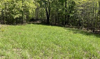 County Road P-309, Alton, MO 65606