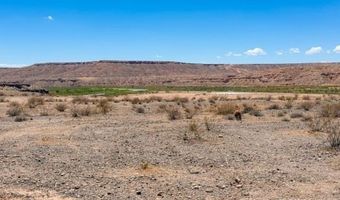4755 Gold Butte Rd, Bunkerville, NV 89007