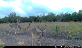 1121 County Road 481, Alice, TX 78332