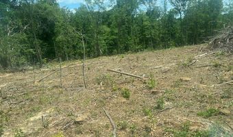 Highway 27, Attapulgus, GA 39815
