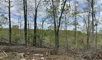 State Hwy N Tract G, Ava, MO 65608