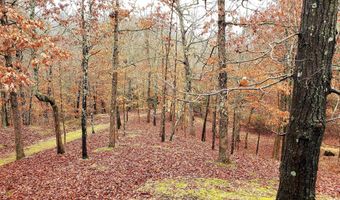 1026 Captain Ave, Aurora, MO 65605