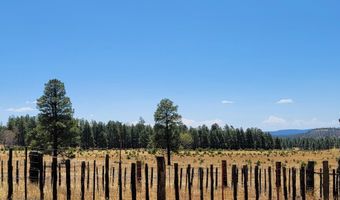 Tbd STONE CREEK RD CR 2117, Alpine, AZ 85920