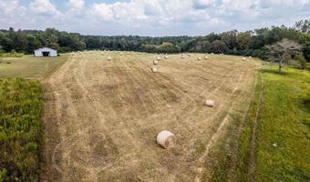 Tbd County Road 1759, Baileyton, AL 35019