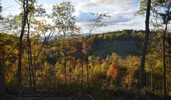 1820 Babbs Mill Rd, Afton, TN 37616