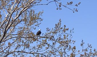 2769 Lakeshore, Applegate, MI 48401