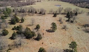 000 County Road 413, Alton, MO 65606