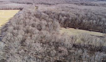 6075 Curtis Rd, Batesville, MS 38606