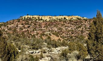 TBD X4 Road, Bedrock, CO 81411