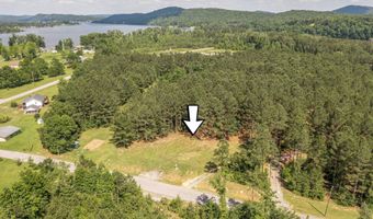 89 Golden Pond Rd, Ashville, AL 35953