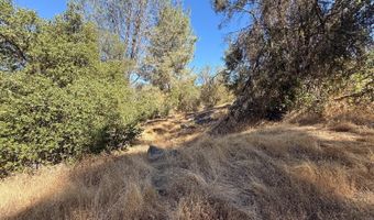 41902 Woodward Way, Ahwahnee, CA 93601