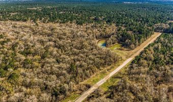 5280 Whitaker Way, Anderson, TX 77830