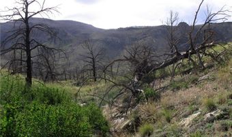 nhn Ranger Way lot Bvr 942-3, Belfry, MT 59008