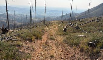 Pine Acres Rd, Bellvue, CO 80512