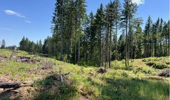 Tunnel Tract Parcel2, Banks, OR 97106