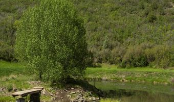 3691 E Sopris Creek Rd, Basalt, CO 81621