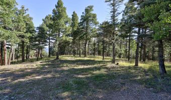Vail Overlook S lot 324, Angel Fire, NM 87710
