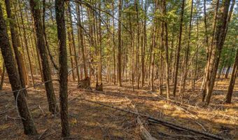 El Camino Real lot 35, Angel Fire, NM 87710