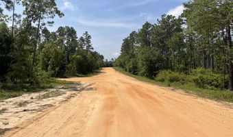 Holly Springs Avenue, Alford, FL 32420