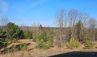 10300 Vista Ridge Dr, Alden, MI 49612