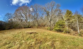 1520 Brittontown Rd, Afton, TN 37616