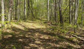 Steve Brown Road, Bean Station, TN 37708