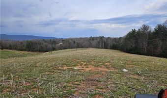 00 Willas Gap Rd 43, Ararat, VA 24053
