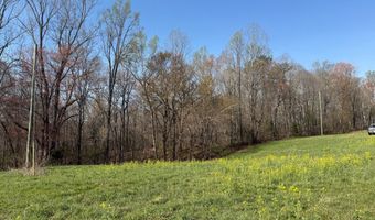 PAYNES POND RD, Arvonia, VA 23004