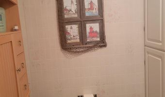 6249 Wolverine Trl, Alger, MI 48610